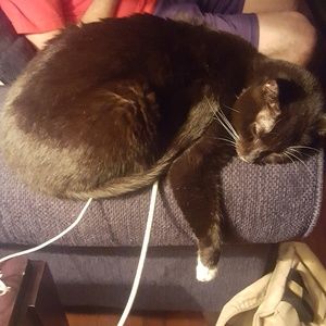 Meet your Posher, Phoenix